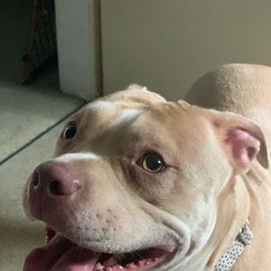 Meet your Posher, Mariah